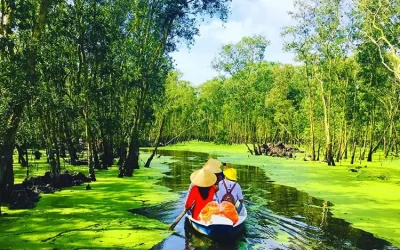 Rừng tràm Trà Sư - Du lịch An Giang