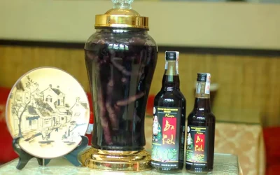 Rượu ba kích - Đặc sản Hạ Long