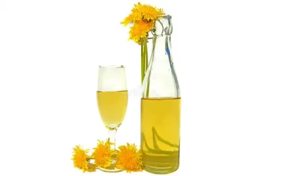 Rượu hoa cúc - Đặc sản Đồng Tháp