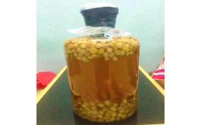 Rượu Long Nhãn Bạc Liêu - Đặc Sản Bạc Liêu