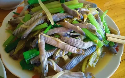 Sá sùng Côn Đảo