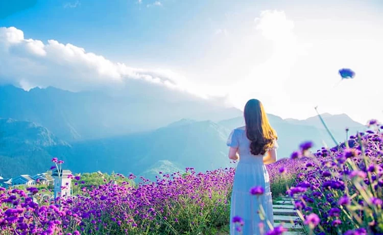 đặt vé máy bay đi Sa Pa