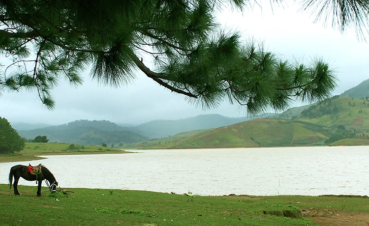 tour du lịch đà lạt 4 ngày 3 đêm