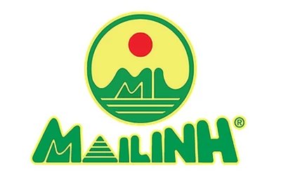 Mai Linh Express