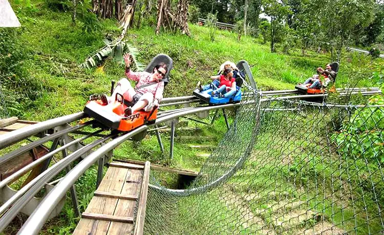 trò chơi máng trượt thác datanla đà lạt