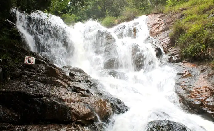 khu du lịch thác datanla đà lạt