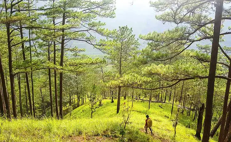 thác hang cọp đà lạt