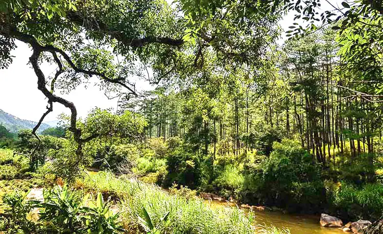 thác hang cọp đà lạt