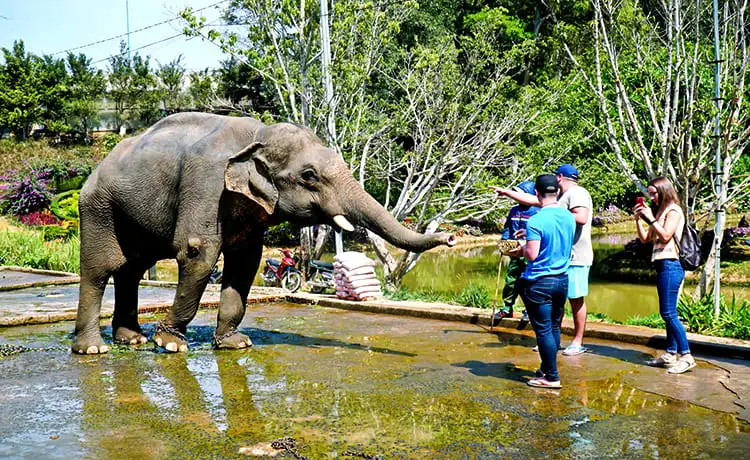 vườn thú khu du lịch thác prenn đà lạt