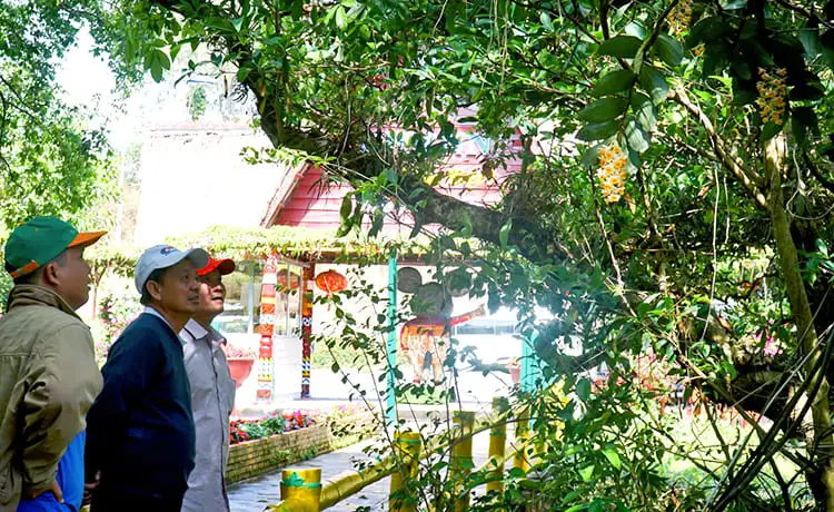 vườn hoa lan khu du lịch thác prenn đà lạt