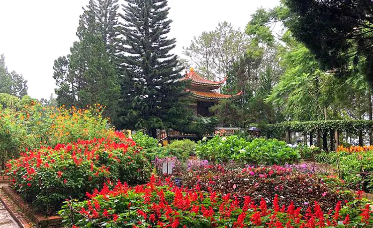 vườn hoa thiền viện trúc lâm đà lạt