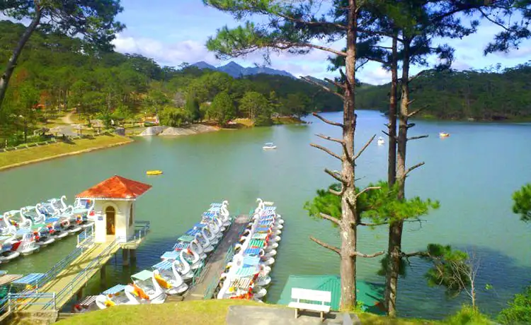 trò đạp vịt thung lũng tình yêu đà lạt