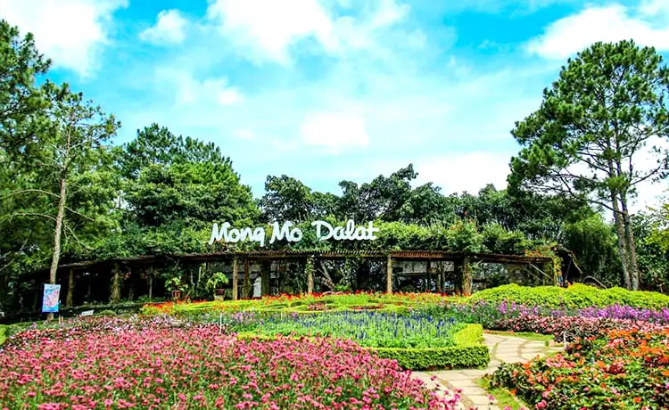 thung lũng tình yêu đà lạt