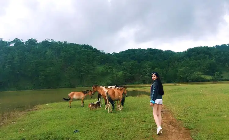 khu du lịch thung lũng vàng đà lạt