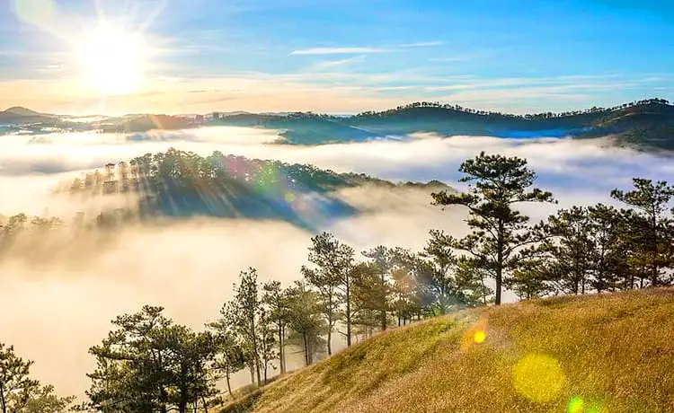 thung lũng vàng đà lạt