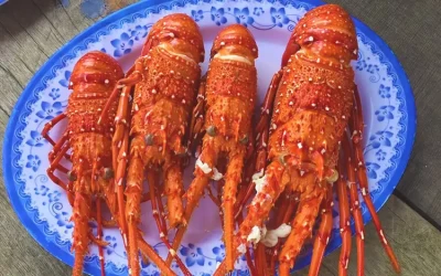 Tôm hùm - Đặc sản Phú Quý