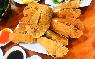 Tôm mũ ni - Đặc sản Côn Đảo