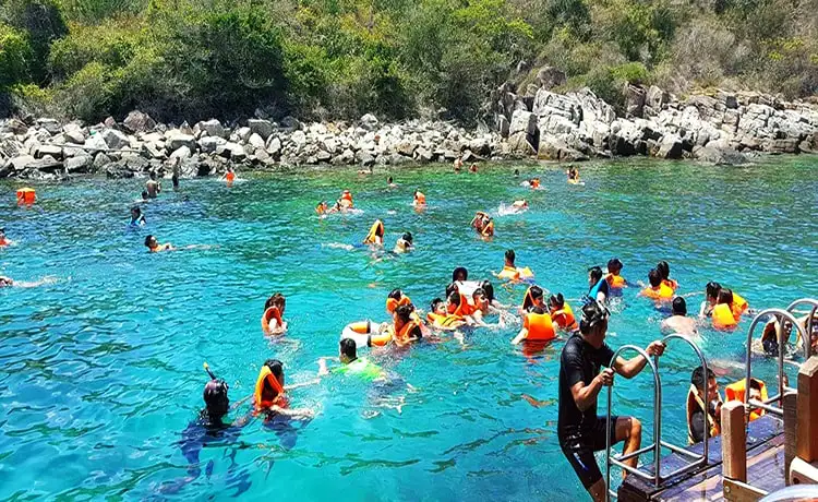 tour du lich lặn biển ngắm san hô hòn mun nha trang 1 ngày tour du lich lặn biển ngắm san hô hòn mun nha trang 1 ngày