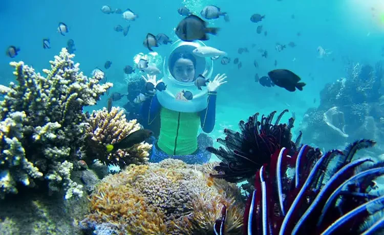 Tour đi bộ dưới biển Nha Trang trong ngày