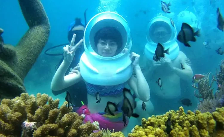 Tour đi bộ dưới biển Nha Trang trong ngày