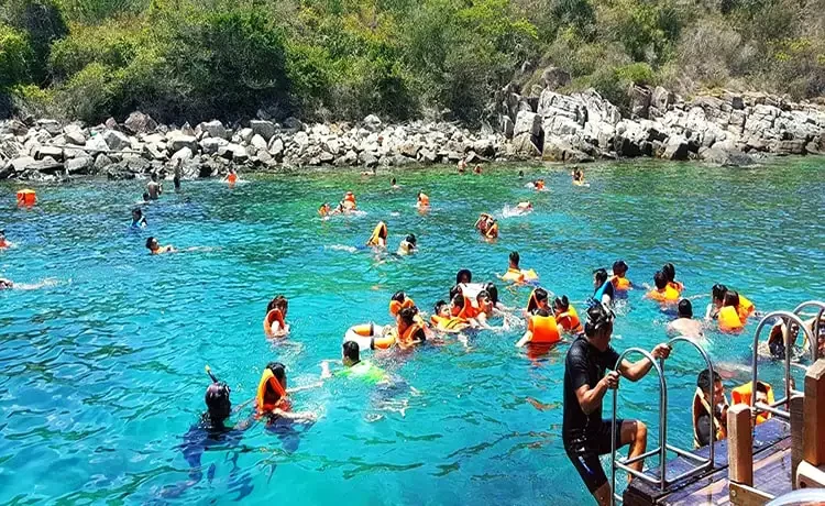 Tour đi bộ dưới biển Nha Trang trong ngày