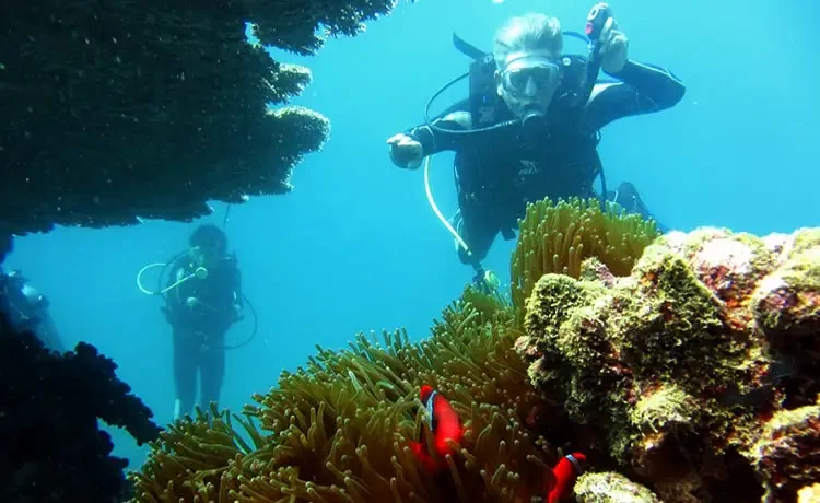 Tour đi bộ dưới biển Nha Trang trong ngày