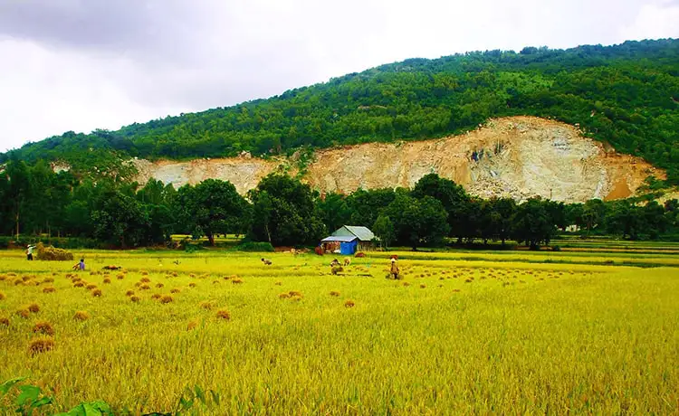 tour du lịch An Giang tour du lịch An Giang