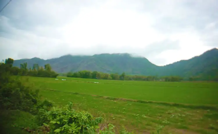 tour du lịch An Giang tour du lịch An Giang
