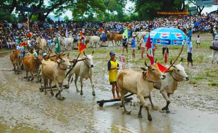 du lịch An Giang du lịch An Giang