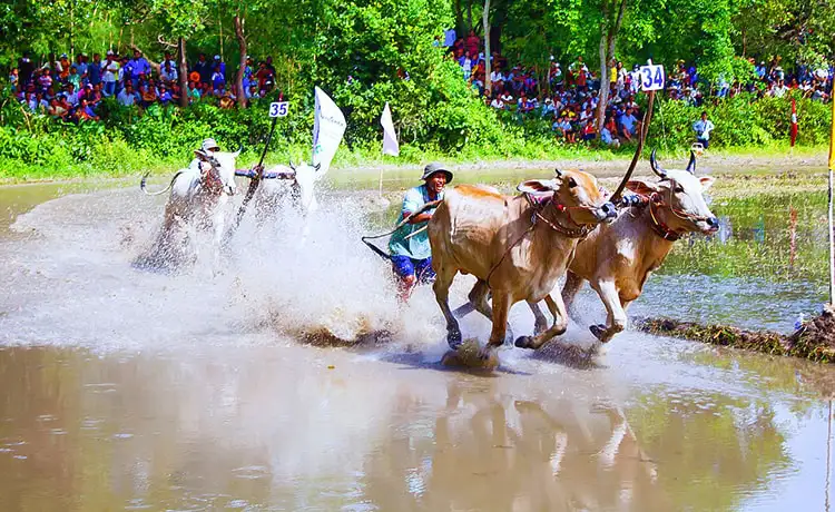 tour du lịch An Giang tour du lịch An Giang