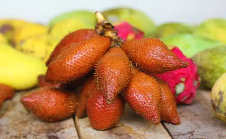 tour du lịch An Giang tour du lịch An Giang