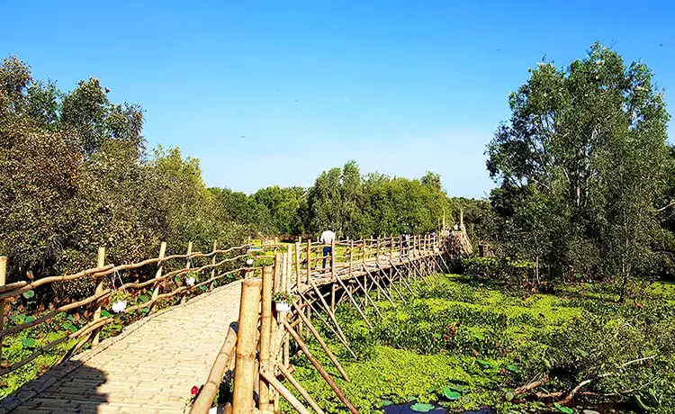 tour bà lụa 2 ngày 2 đêm rừng tràm trà sư hòn trẹm