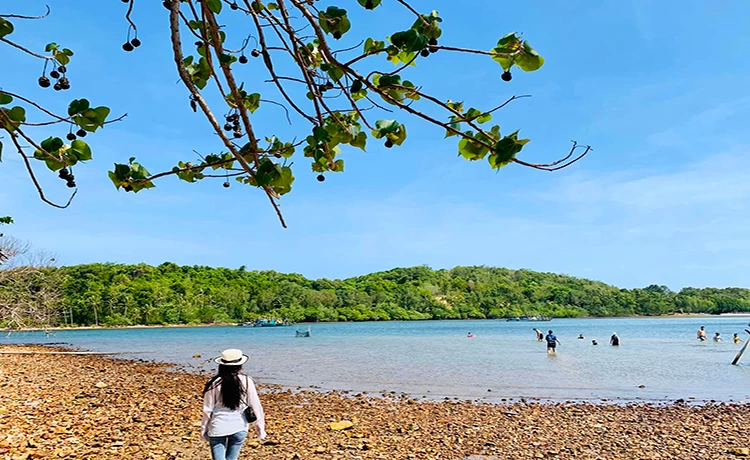 Tour du lịch Bà Lụa 2 ngày 2 đêm Câu cá - Lặn ngắm san hô Tour du lịch Bà Lụa 2 ngày 2 đêm Câu cá - Lặn ngắm san hô