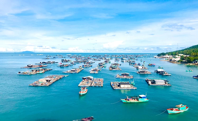 Tour du lịch Bà Lụa 2 ngày 2 đêm Câu cá - Lặn ngắm san hô Tour du lịch Bà Lụa 2 ngày 2 đêm Câu cá - Lặn ngắm san hô