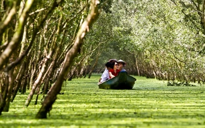 Tour du lịch Bà Lụa 2 ngày 2 đêm - Rừng Tràm Trà Sư