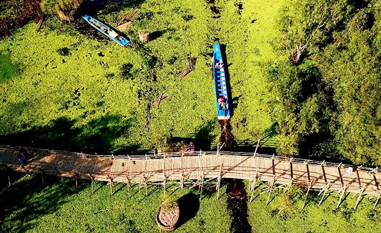 Tour du lịch Bà Lụa 2 ngày 2 đêm - Rừng Tràm Trà Sư