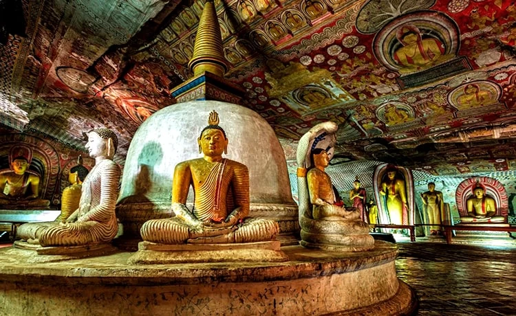 Tour du lịch Bà Lụa 2 ngày 2 đêm - Rừng Tràm Trà Sư