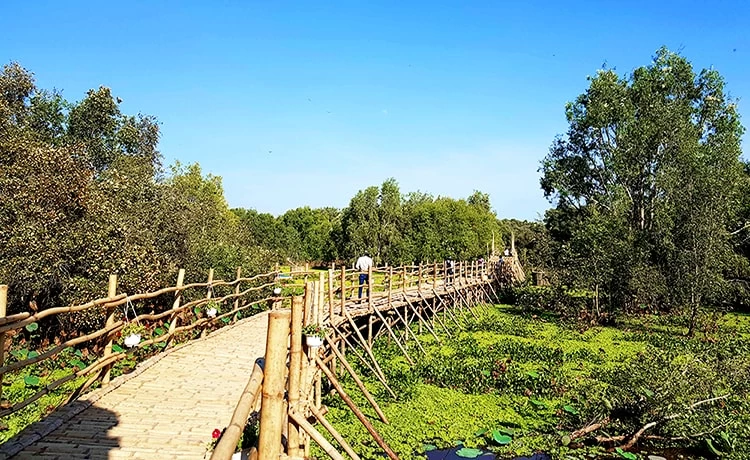 Tour du lịch Bà Lụa 2 ngày 2 đêm - Rừng Tràm Trà Sư - Hòn Trẹm