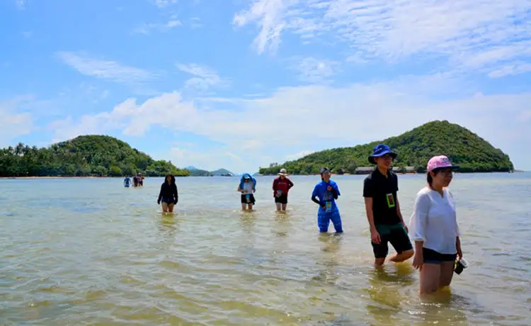 đi bộ trên biển ba hòn đầm