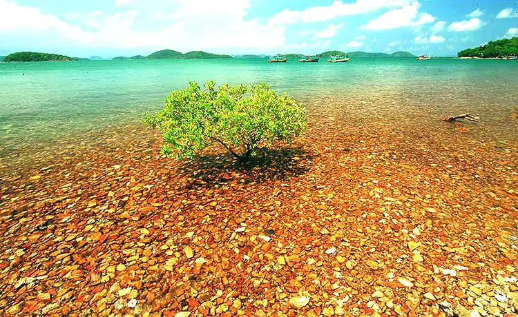 tour du lịch bà lụa