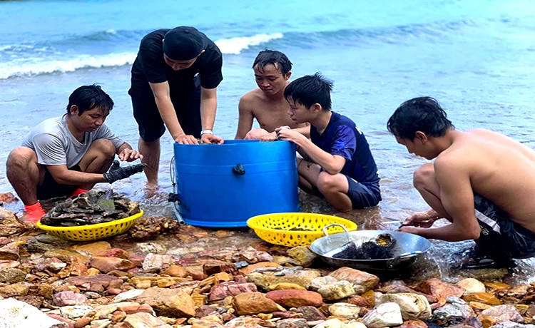 tour du lịch bà lụa 2 ngày 2 đêm tour du lịch bà lụa 2 ngày 2 đêm