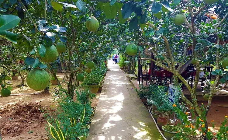 tour du lịch Bến Tre tour du lịch Bến Tre