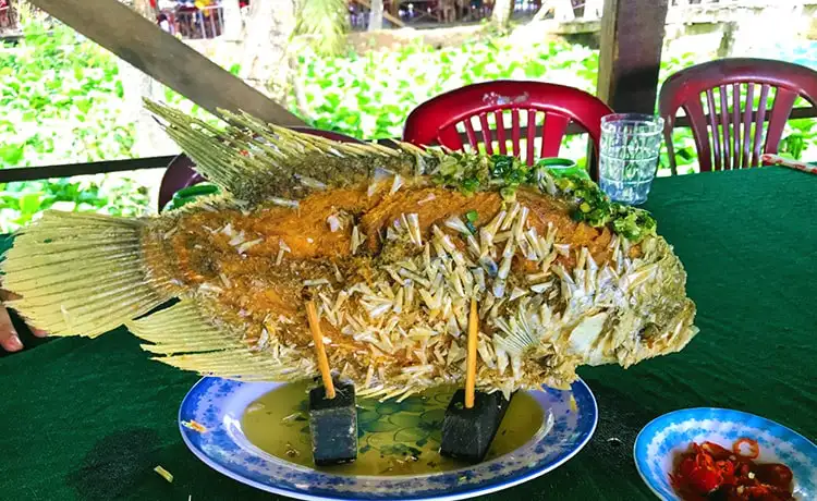 tour du lịch Bến Tre tour du lịch Bến Tre