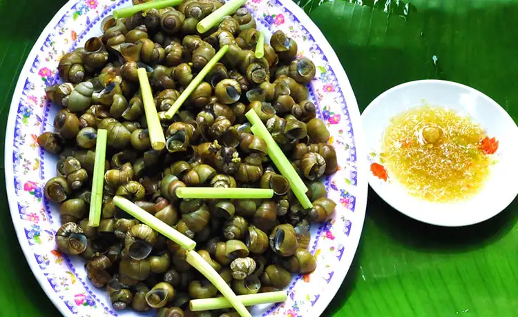 tour du lịch Bến Tre tour du lịch Bến Tre