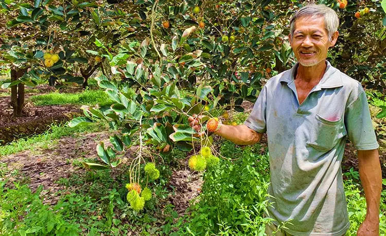 tour du lịch Bến Tre