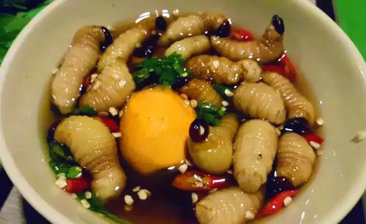 tour du lịch Bến Tre