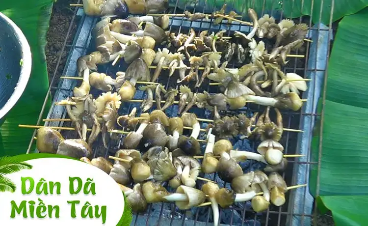 tour du lịch Bến Tre