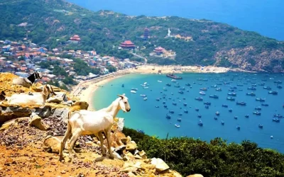 Tour du lich Bình Ba 2 ngày 1 đêm - Tứ Bình