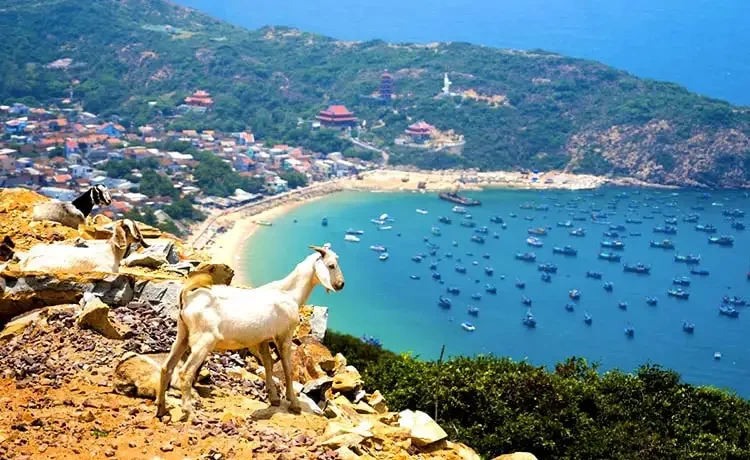 Tour du lich Bình Ba 2 ngày 1 đêm - Tứ Bình Tour du lich Bình Ba 2 ngày 1 đêm - Tứ Bình