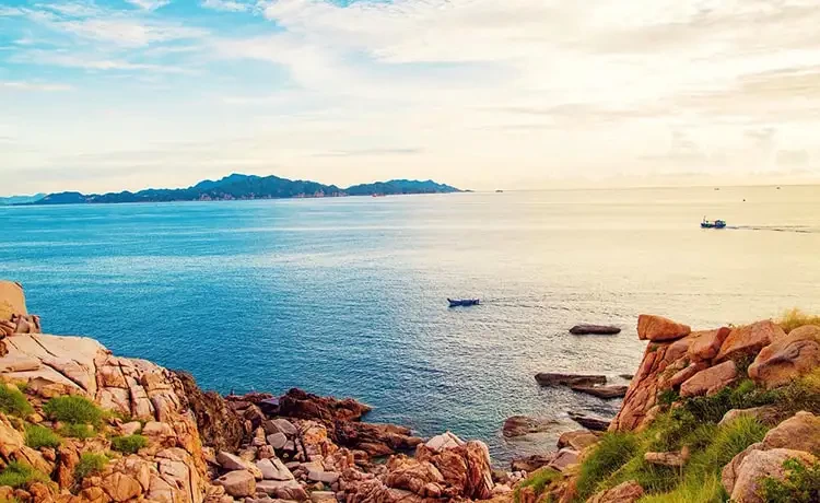 Tour du lịch Bình Hưng trong ngày